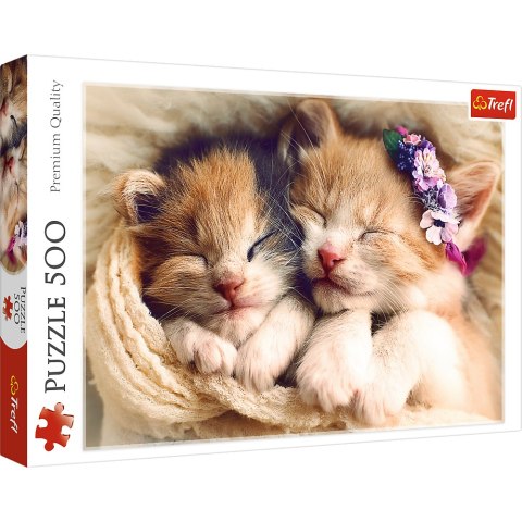 Puzzle 500 el. Śpiące kotki Trefl 37271