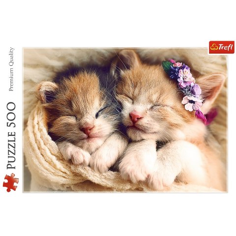 Puzzle 500 el. Śpiące kotki Trefl 37271