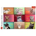 Puzzle 1500 Zabawne Kocie Portrety Trefl 26212