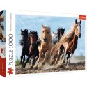 Puzzle - 1000 - Galopujące konie - Trefl 10446