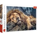 Puzzle - 1000 - Śpiący lew - Trefl 10447