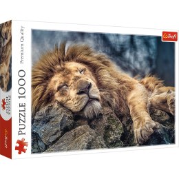 Puzzle - 1000 - Śpiący lew - Trefl 10447