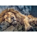 Puzzle - 1000 - Śpiący lew - Trefl 10447