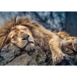 Puzzle - 1000 - Śpiący lew - Trefl 10447