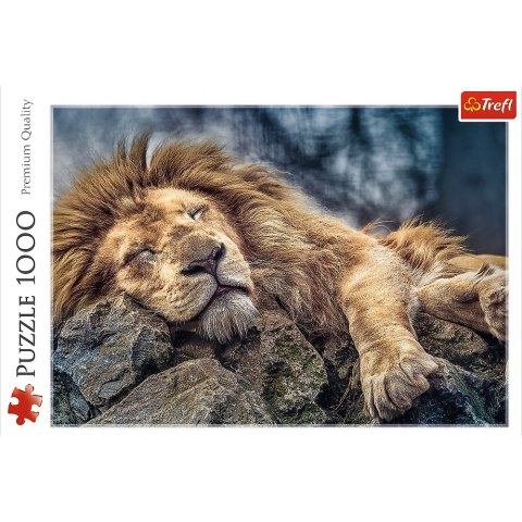 Puzzle - 1000 - Śpiący lew - Trefl 10447