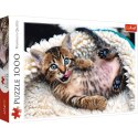 Puzzle - 1000 - Wesoły kotek - Trefl 10448