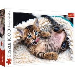 Puzzle - 1000 - Wesoły kotek - Trefl 10448