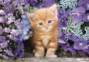 Puzzle 500 HQC RUDY KOTEK Plakat Clementoni 35585